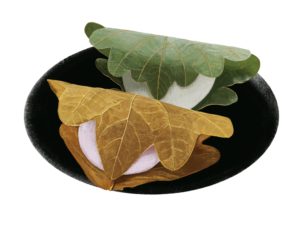 5 mai - kashiwa mochi