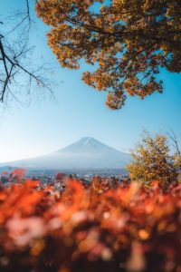 vue lointaine du mont Fuji