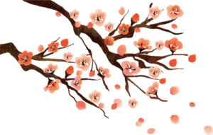 Voeux de Nouvel An ; motif de prunier en fleur