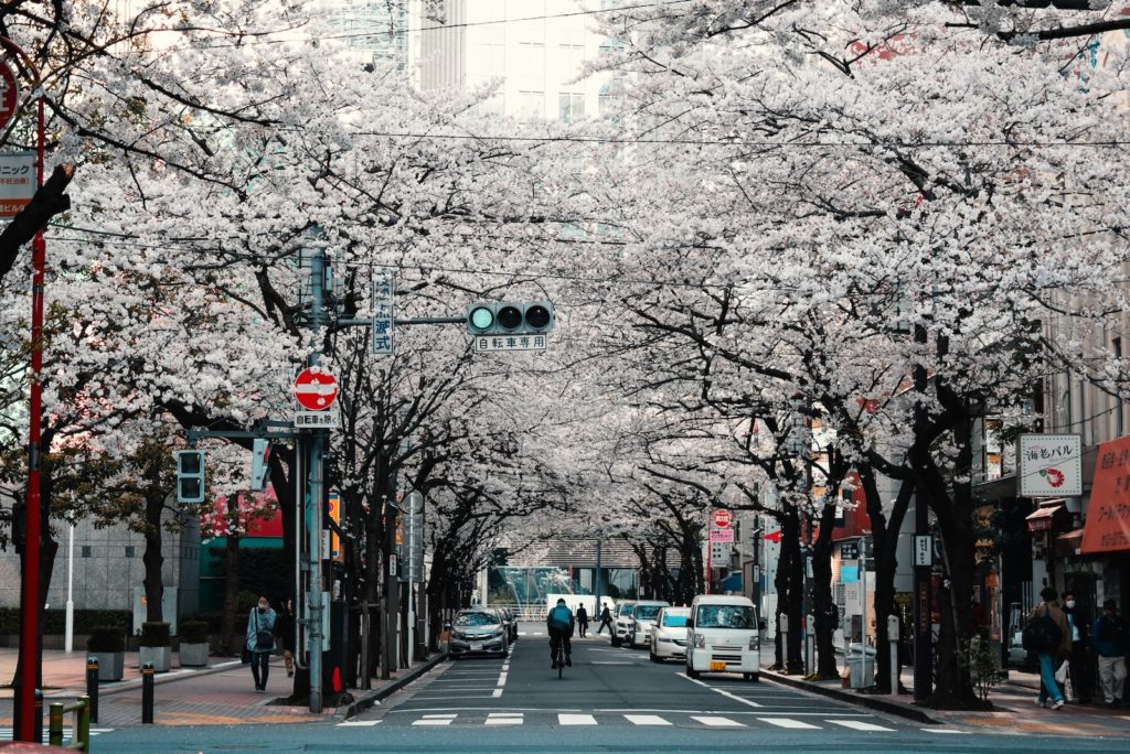 Le printemps au Japon