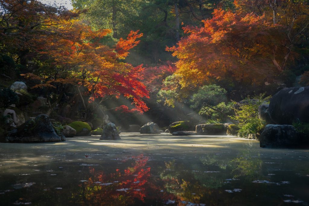 L'automne au Japon